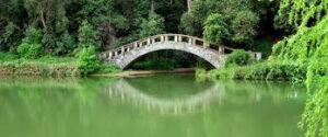 Dónde está ubicado el Jardín Botánico Nacional en Viña del Mar