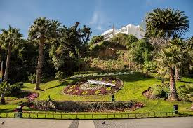 Flora de Viña del mar